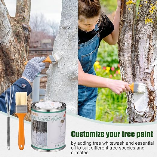 Kathfly 1 Pack Tree Paint Kit Tree Whitewash Trees Trunk Protection with Tinplate Container Whisk Brush for Fruit Nut Ornamental Trees Sapling Garden Yard Orchard (8" Whisk,Regular Classic Brush)