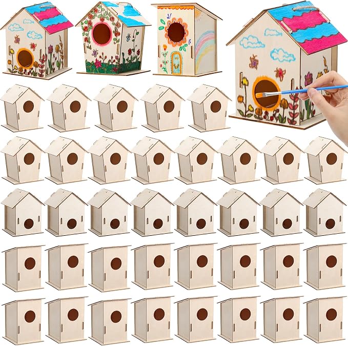 DoubleFill 48 Pcs Bulk Wooden Bird Houses Kits for Kids Mini Bird House for Craft DIY Unfinished Wood Birdhouse to Paint, Build for Children Wooden Arts Classroom Activity, 3 Styles