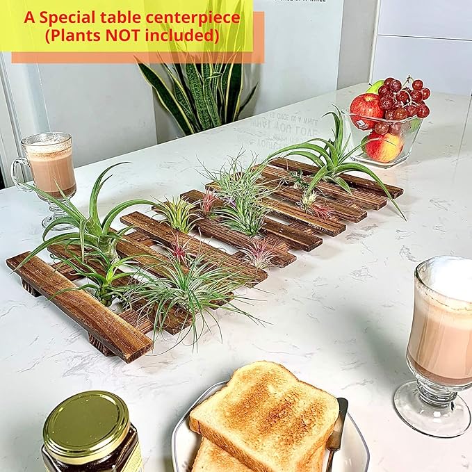 ShopLaLa Bundle- 1 Pack,23.6 Inch Wooden Plant Holder + 10 Pack, 4 Inch Black Self Watering Pot Wall Mount Hanging Indoor Hydroponic Garden Display Live Vertical Air Plant Succulent Frame Modern Decor