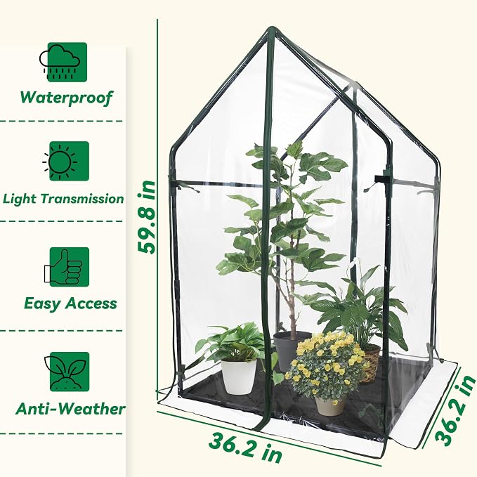 Gardzen Mini Greenhouse with Waterproof Bottom, Portable Green House with Strong Metal Frame, Small Green House with Zipper Door for Outside and Inside Use, 36.2"(L) x36.2(W) x59.5(H)