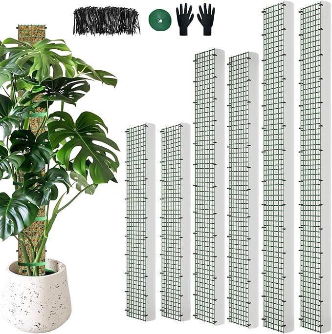 60"/40"/24" Metal Moss Pole, 6 Pack D Shape Sphagnum Moss Pole, Moss Poles for Climbing Plants, Monstera, Indoor Climbing Plants (2 Each of 60" 40" 24")