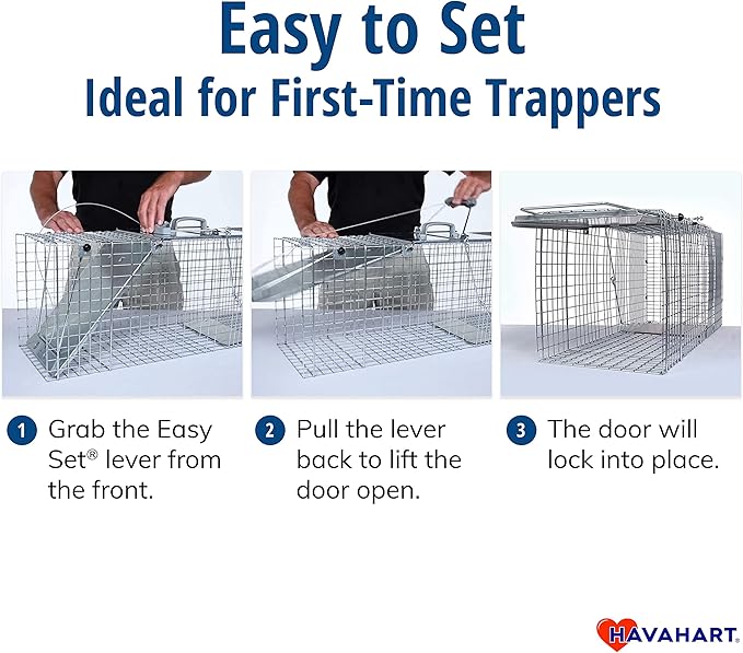 Havahart Easy-Set Catch and Release Small 1-Door Humane Live Animal Trap for Squirrels, Rabbits, Skunks, and Other Small Animals - 1083