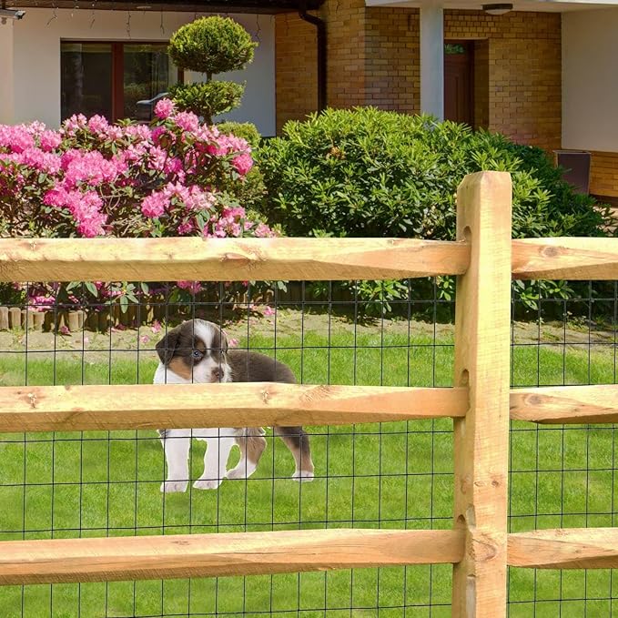 FOREHOGAR Black PVC Coated Welded Wire Fence 36 Inch x 100 Foot, 2 Inch x 3 Inch 16GA, Garden Border Fencing Roll Vinyl Coating Metal Wire Mesh for Yard Vegetable Plant Protection Poultry Netting