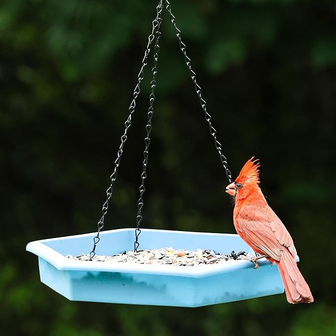 Combo Café 2-in-1 Recycled Plastic Bird Feeder and Bird Bath for Wild Birds and Outdoor Décor, Hanging Bird Bath and Tray Feeder with Chains Included, 1.5 Quart Capacity, Blue