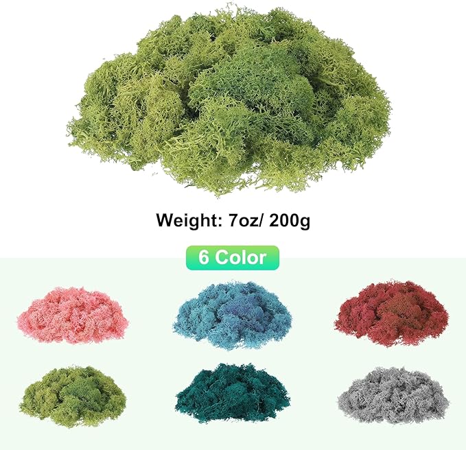 uxcell Preserved Reindeer Moss, 7oz Fake Moss for Crafts Artificial Dried Moss for Decoration Terrariums Potted Plants, Dark Green