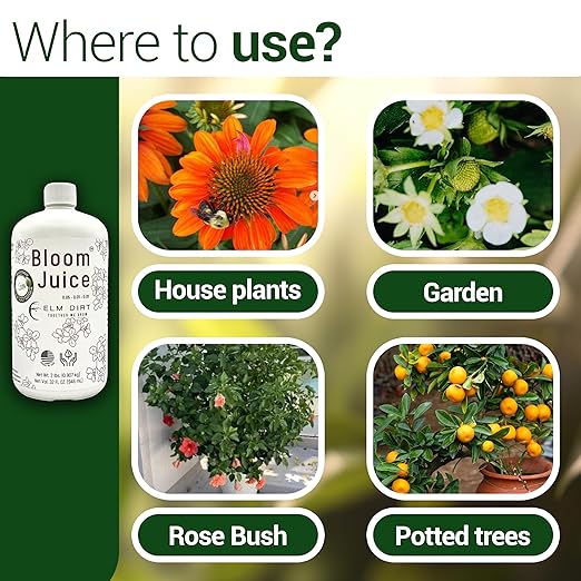 Elm Dirt's Bloom Juice for All Flowering Plants (3 Bottles)