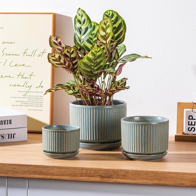 SURE YUESI Ceramic Plant Pots Set of 3, Indoor Outdoor Planters with Drainage Hole and Saucer, Ceramic Flower Pots for Indoor Plants, 4.3+5.5+6.8 Inch, Home, Garden, Patio and Office, Matte Green