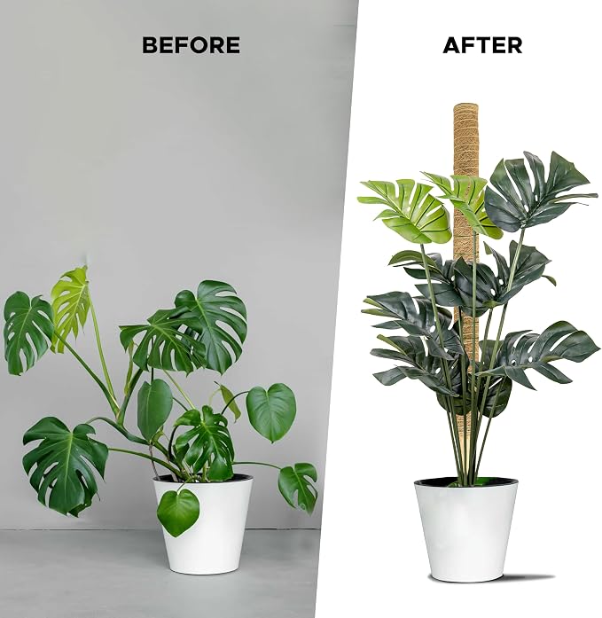 EcoNour 26.5" (2 Pack -16") Stackable Moss Pole for Monstera Plant Support | Moss Pole Sticks for Indoor Plants | Bamboo Plant Stakes,Climbing,Potted,Pothos| Philodendron & Creepers with Tie Accessory