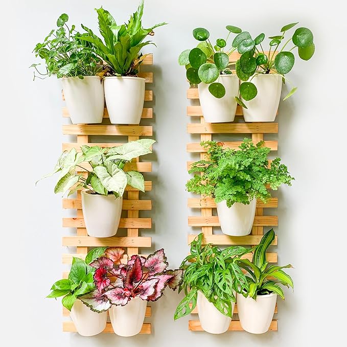 ShopLaLa Wall Planter (90cm, 2 Pack) Large Wooden Hanging Planters for Indoor Plants, Natural Wood Wall-Mount Plant Holders Succulents, Orchids, Flower Pots, Outdoor Vertical Garden Balcony Home Decor