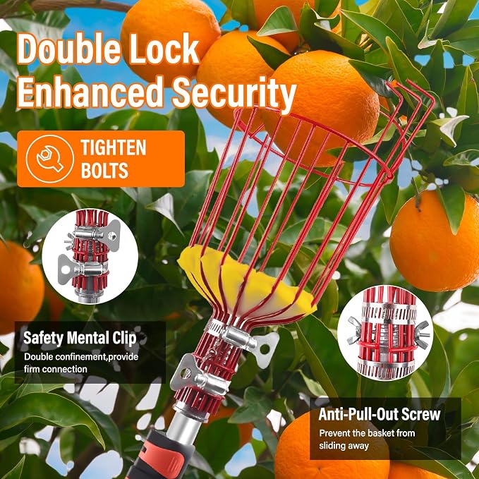 26FT Reach Fruit Picker Pole with Basket Telescoping,Apple Picker Pole with Basket,Lightweight Aluminum Pole Fruit Catcher for Trees,Orange Picker Suit for,Pear,Lemon,Mango,Guava,Avocados