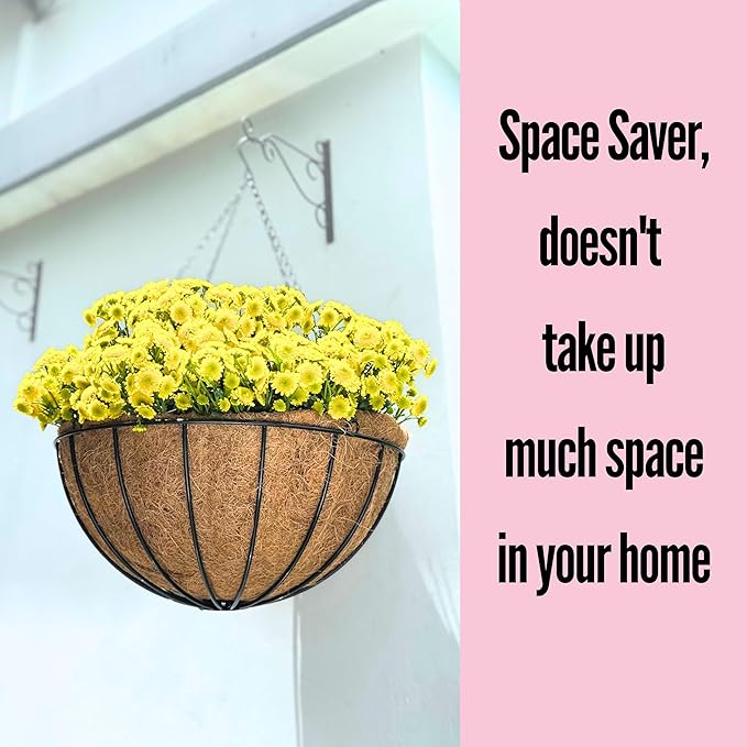 LaLaGreen Hanging Baskets for Plant Outdoor (20 Inch, 2 Pack) Extra Large Black Metal Wire Hanging Planter with Coco Liner Round Flower Pot Holder Hanger Deck Porch Modern Garden Balcony Country Decor