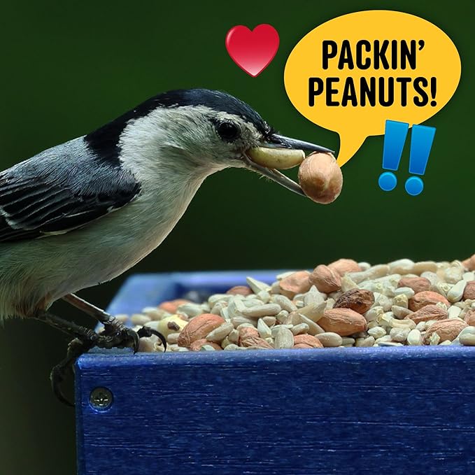 Cool Birds Safflower, Nuts & Hearts Wild Bird Seed – 10 lb. Gourmet Bird Food with Safflower, Sunflower Hearts & Peanuts – No Corn, Milo or Millet, No Waste Bird Food for Outside Feeders