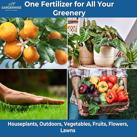 Gardenwise 20-20-20 Water-Soluble Fertilizer – Powder for Liquid Plant Food for Indoor & Outdoor Plants, Orchids, Vegetables, Lawns, Flowers – 20 20 20 Fertilizer (8 oz)