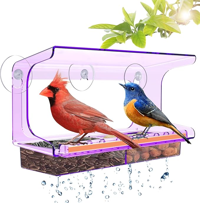 LUJII Purple Window Bird Feeder with 5 Super Strong Suction Cups, All One Piece Construction, Removable Seed Tray, Accommodates Large Birds Like Cardinals or Blue Jay for Outside Wild Bird Feeding