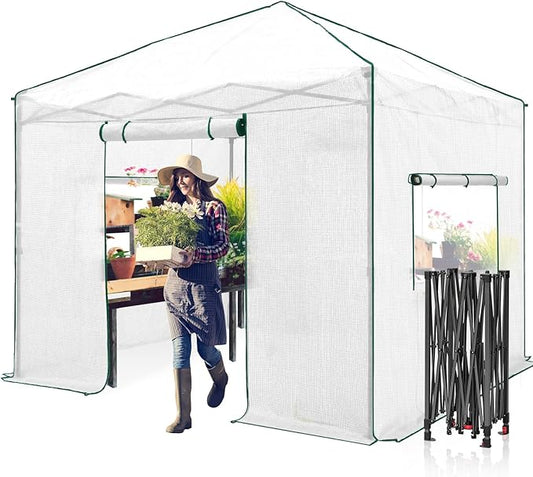 EAGLE PEAK 10x10 Portable Walk in Greenhouse, Pop Up Indoor Outdoor Greenhouse, Green House Kit with Zippered Roll-Up Doors and Windows, PE Cover, Clear/White