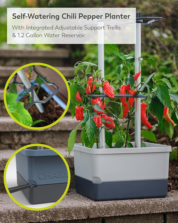 BUZZY Seeds Charly Chili Self-Watering Planter with Vertical Trellis – 1.2 Gal Reservoir, Large Capacity Planter for Chili Peppers, Bell Peppers & Eggplants (Grey)