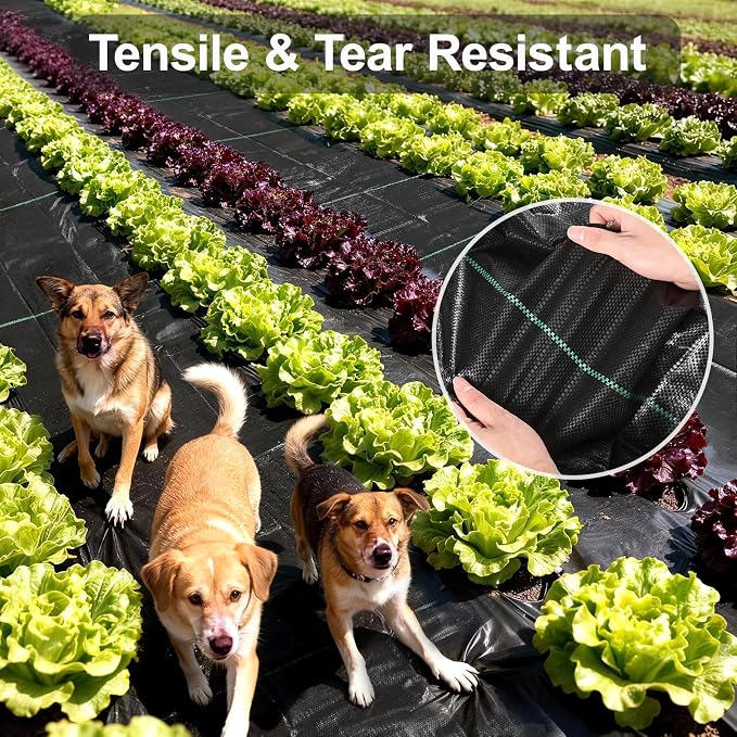 Weed Barrier Landscape Fabric 4FT x 100FT - 3.2oz Heavy Duty Weed Control Mat, High Permeability Woven Geotextile Fabric for Driveway, Gravel, Yard Ground Cover, Greenhouse Gardening