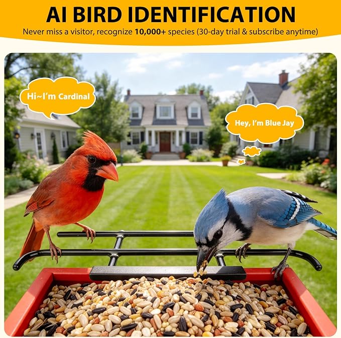 Smart Bird Feeder with Camera 2.5K HD, BOLITE Bird House for Outdoors, AI Auto-Capture & Motion Detection, Weatherproof Camera, Solar Powered, Ideal Gift for Men Women Mom Dad & Bird Lovers, Red