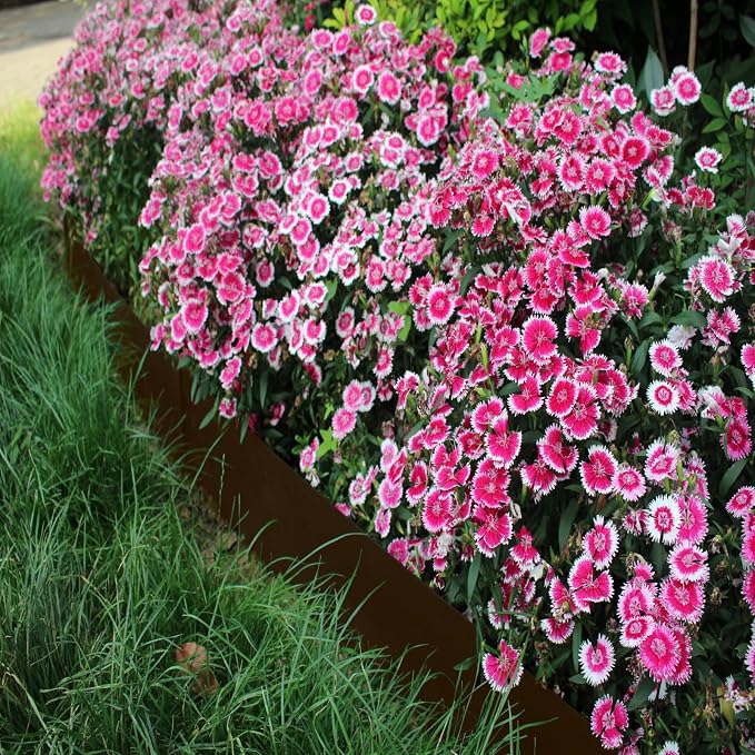 6 Pack 40" L x 6" H Brown Galvanized Steel Landscape Edging, Heavy Duty Garden Border Edging with Clips, Hammer in Metal Lawn Edging for Yard, Flower Bed and Pathway