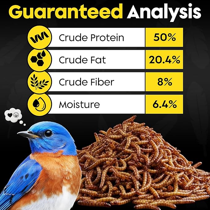 Dried Mealworms for Wild Birds - Crunchy Meal Worms for Wild Birds - High Protein Dried Mealworms for Bluebirds, Cardinals & Woodpeckers - Premium Backyard Bird Treat - All Natural Bird Food (5lbs)