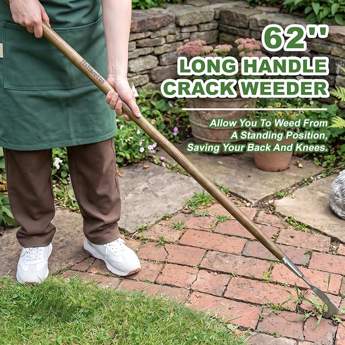 Haliaeetus Long Handle Crack Weeder Tool, 62'' L-Shape Stainless Steel Crevice Weeding Tool, Comfortable Wood Handle Paver Weeder, Sidewalk Weed Removal Tool for Driveway, Bricked Patio,Terrace Paving