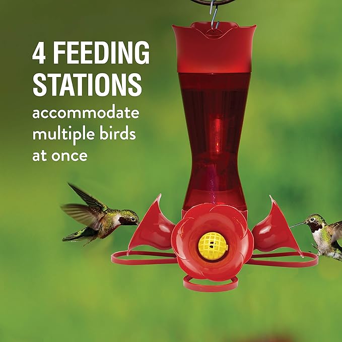 Perky-Pet Red Hummingbird Feeder - Pinch Waist Design for Easy Feeding - Humming Bird Feeder for Outdoors - 403CO - 8 oz Capacity (Pack of 6)