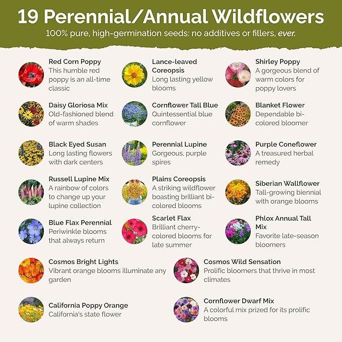 Eden Brothers Pennsylvania Wildflower Mixed Seeds for Planting, 1/4 lb, 120,000+ Seeds with Coreopsis, Lupine | Attracts Pollinators, Plant in Spring or Fall, Zones