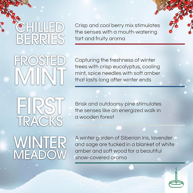 Gonesh Scents of Winter - Incense Sticks Variety Pack - Non-Toxic 10” Slow Burn Aromatic Sticks - Winterberry, Invigorating Pine, Siberian Iris, Mint Leaves - 30 in Each