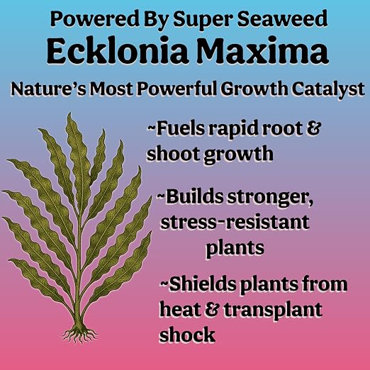 Organic Liquid Indoor Plant Food, Houseplant, Tropical & All-Purpose Indoor Plant Fertilizer, Organic Liquid Fertilizer 5-5-5 with Sea Kelp 32oz Treats 220 Gallons of Water