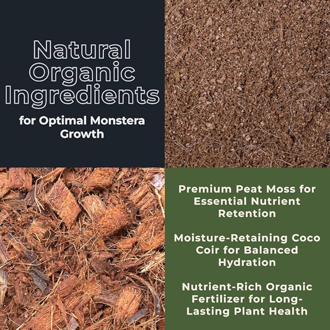 GARDENWISE Monstera Potting Soil Mix – Organic, Fast-Draining, Chunky Soil with Coconut Coir & New Zealand Bark for Indoor Plants – Premium Fertilizer for Monstera Deliciosa, Albo & More (3 quarts)