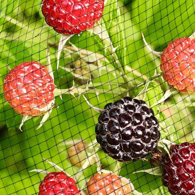 Garden Netting, 15ft x 30ft Black Bird Netting Heavy Duty,Rabbit,Large Bees,Squirrels, Deer,Chicken, Anti Birds, Cardinals，Animal Fencing for Fruit Tree & Vegetable Garden