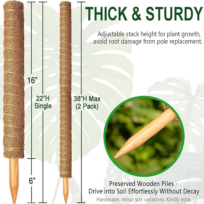 Soupiar 2 Pack 22 Inch Stackable Moss Pole - Thick & Sturdy Natural Coir Totem Plant Support & Garden Stakes for Monstera & Pothos, Indoor Climbing Vining Houseplants, 38" H Max