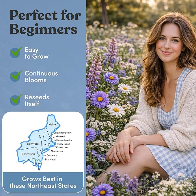 Regional Wildflower - Northeast USA Wildflowers - 100% Pure Seed - Organic, Non-GMO - 21 Wildflower Variety Seeds of Annual & Perennial, 1 LB Tub