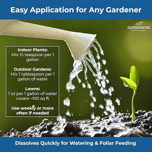 Gardenwise 20-20-20 Water-Soluble Fertilizer – Powder for Liquid Plant Food for Indoor & Outdoor Plants, Orchids, Vegetables, Lawns, Flowers – 20 20 20 Fertilizer 3 Quarts (6 lbs)