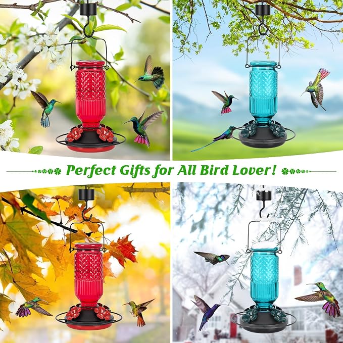 FEED GARDEN Glass Hummingbird Feeder for Outdoors