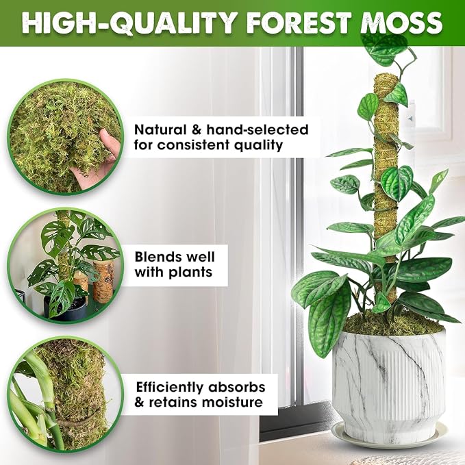 DUSPRO Natural Moss Pole for Plants Monstera, Forest Moss Stick, Monstera Plant Support, Handmade Plant Stake for Indoor Potted Plants to Grow Upward, 1 Pc 22"