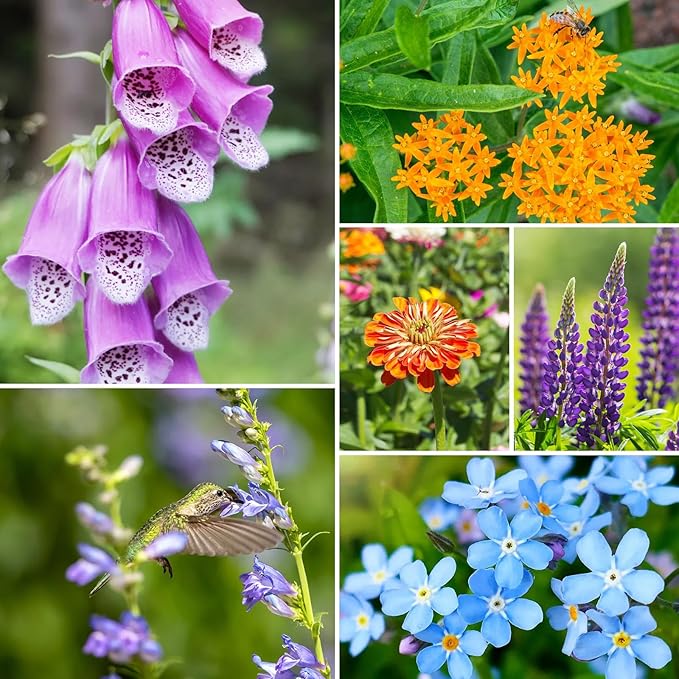 Groundio Wildflower Seeds Mix, 2 Oz, 50,000+ Seeds, 28 Varieties, Attracts Bees, Butterflies & Birds, Colorful Flowers