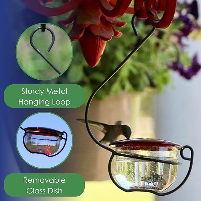 Glass Hummingbird Feeder - Handcrafted Clear Glass Bowl with Red Cap - 4 Feeding Ports - Decorative Hanging Hook - Easy Clean Outdoor Hummingbird Feeder for Nectar