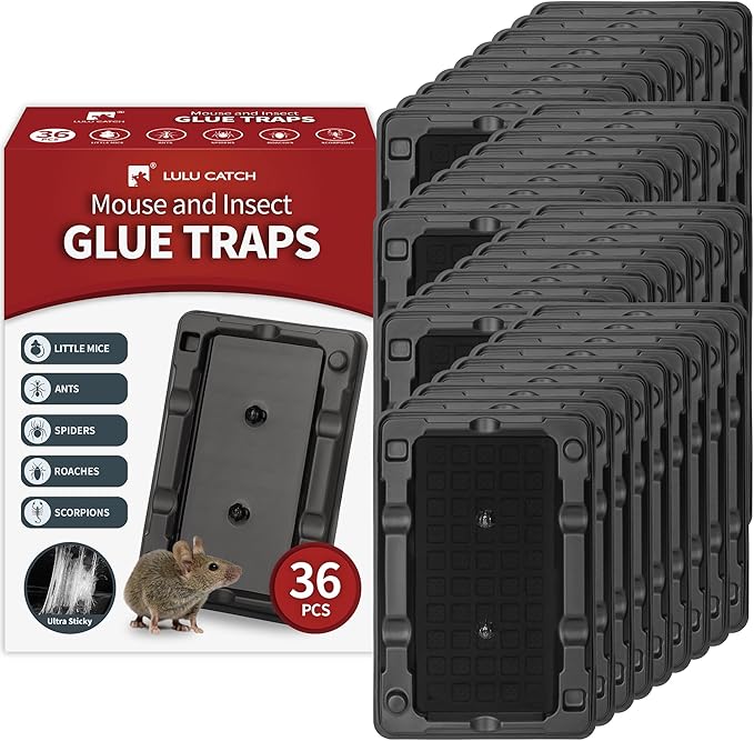 LULUCATCH Mouse & Insect Traps 36 Pack, Heavier Sticky Traps with Non-Toxic Glue for Small Mice & Insects. Sticky Mouse Traps Indoor, Easy to Set, Pet Safe Pest Control