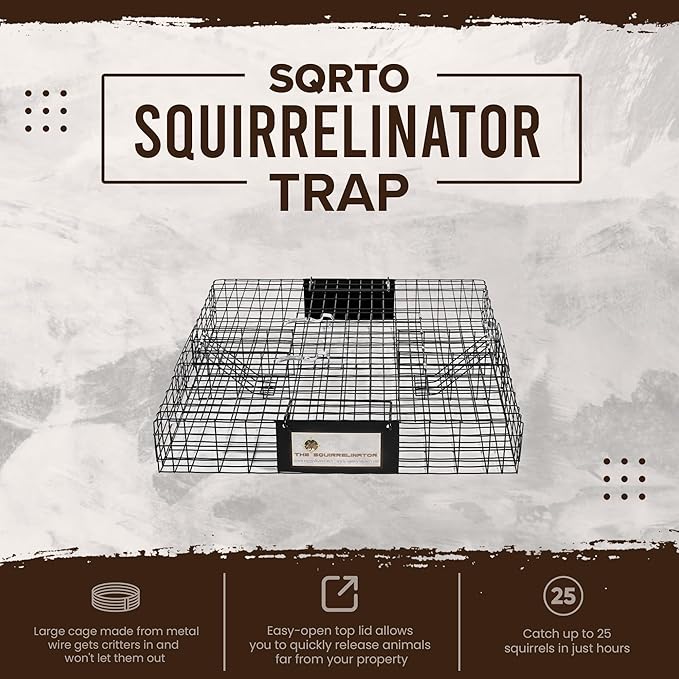 Rugged Ranch Squirrel Trap, Live Animal Catch & Release Cage, Squirrelinator, Black - Humane Indoor and Outdoor Catcher for Chipmunks and Squirrels