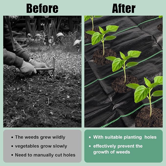 33 x 3.3 Ft Weed Barrier Landscape Fabric, Garden Weed Barrier Fabric Heavy Duty with Planting Holes, Ground Cover Weed Barrier Weed Cloth with 10 U-Shaped Ground Nail For Garden Weed Control