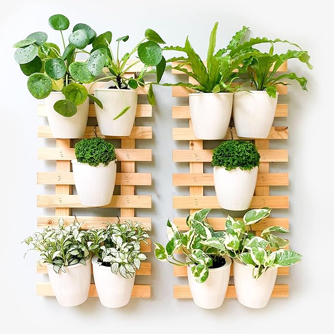 ShopLaLa Wall Planter (60cm, 2 Pack) Wooden Hanging Ladder Planters with Clear Paint Finish, Wall Mount Plant Stand for Indoor Plants, Outdoor Vertical Garden, Herbs Orchid Display, Balcony Home Decor