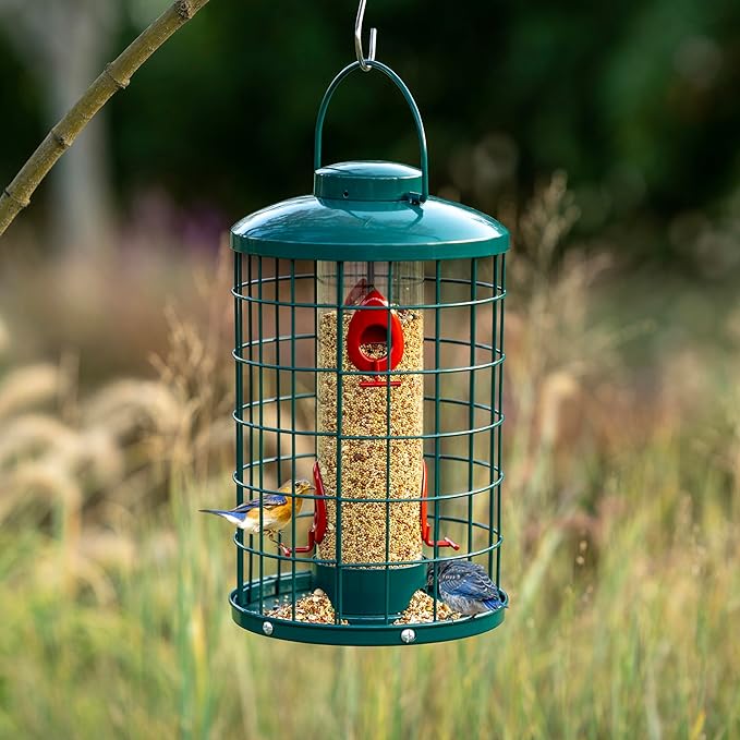 Mosloly Caged Bird Feeder for Wild Birds Outside, Large Squirrel-Proof Heavy-Duty Metal Hanging Tube Bird Feeder, 4 Feeding Ports, 13.2'' High, 3LB Seed Capacity (Green)