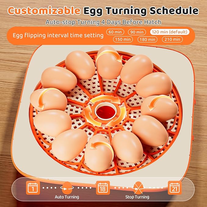 Incubators for Hatching Eggs 12 Egg Digital Egg Incubator Precision Auto Temp Humidity Control 6 Gear Adjustable Auto Turner Auto Stop Turning Hatching Days Display for Chicken Duck Goose Eggs