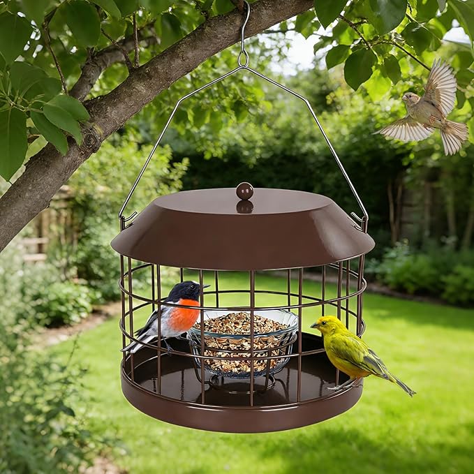 Gbekery Caged Bluebird Feeder for Mealworms with Glass Bowl, Squirrel Proof Bird Feeder for Small Birds Only, Detachable Hook, Large Space, Outdoors Weatherproof, Metal, Brown