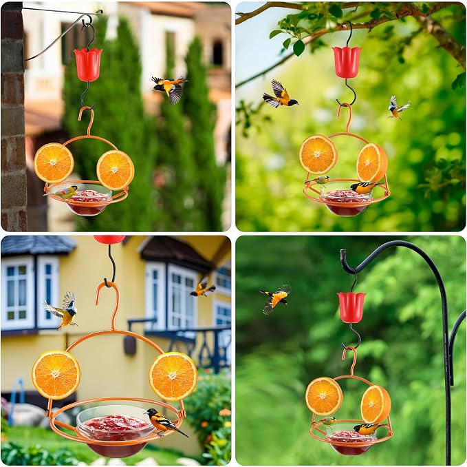 Metal Oriole Feeders for Outdoors Hanging with Ant Moat and Fruit Holder, Oriole Feeder with Glass Bowl, Easy to Disassemble and Wash, Bird Feeder for Garden, Outdoor, Gift (1 Pack, Orange)