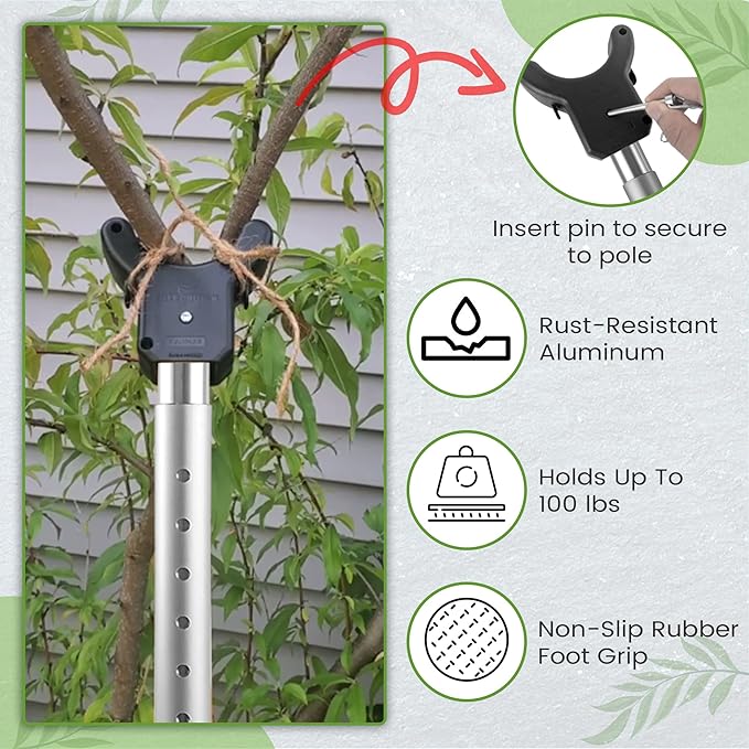 Adjustable Aluminum Tree Support Pole with Branch Crutch – Prevents Fruit Tree Branch Breakage – Holds Up to 100 lbs – Adjusts to 16”-74” for Leaning Trees (2-Pack)