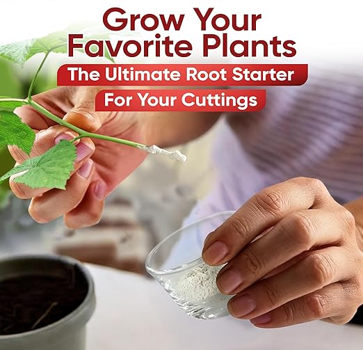 Hormex Rooting Powder #1 (0.10% IBA) for Delicate Houseplants, Succulents & Herbs - Gentle Root Powder, Root Stimulator for Plants, Rooting Hormone for Cuttings, Cloning, & Softwood Propagation