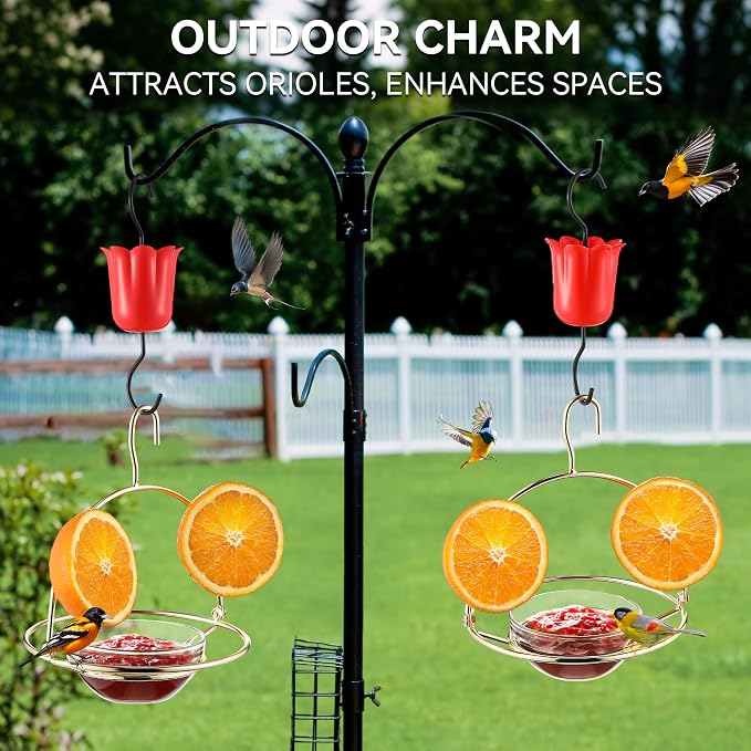 2 Pack Metal Oriole Feeders for Outdoors Hanging with Ant Moat and Fruit Holder, Oriole Feeder with Glass Bowl, Easy to Disassemble and Wash, Bird Feeder for Garden, Outdoor, Gift (Gold)