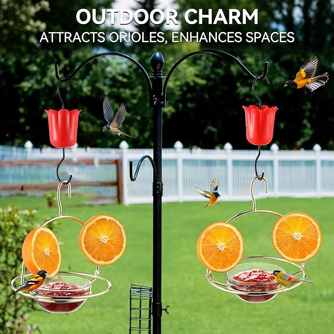 Metal Oriole Feeders for Outdoors Hanging with Ant Moat and Fruit Holder, Oriole Feeder with Glass Bowl, Easy to Disassemble and Wash, Bird Feeder for Garden, Outdoor, Gift (1 Pack, Gold)